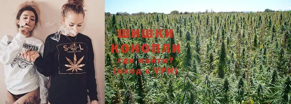 таблы Надым