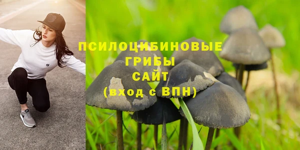 таблы Надым