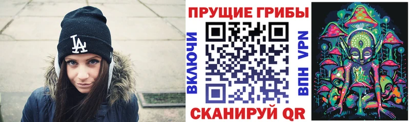 Купить  Арамиль  Псилоцибиновые грибы мицелий 